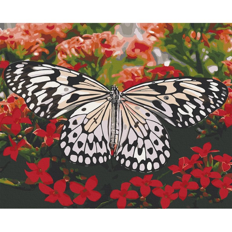 Картина за номерами. Art Craft «Красуня в кольорах» 40х50 см