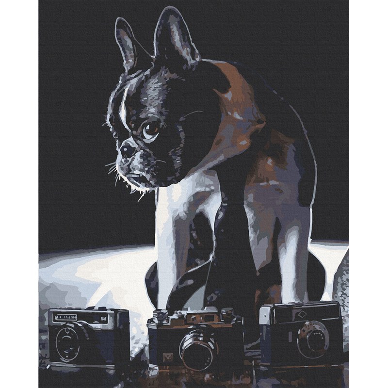 Картина за номерами. Art Craft Сором’язливий фотограф 40х50 см
