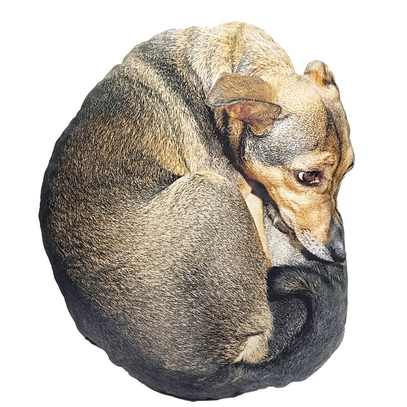 Дитяча м’яка іграшка «Собака Маня» DOG-M 42 см