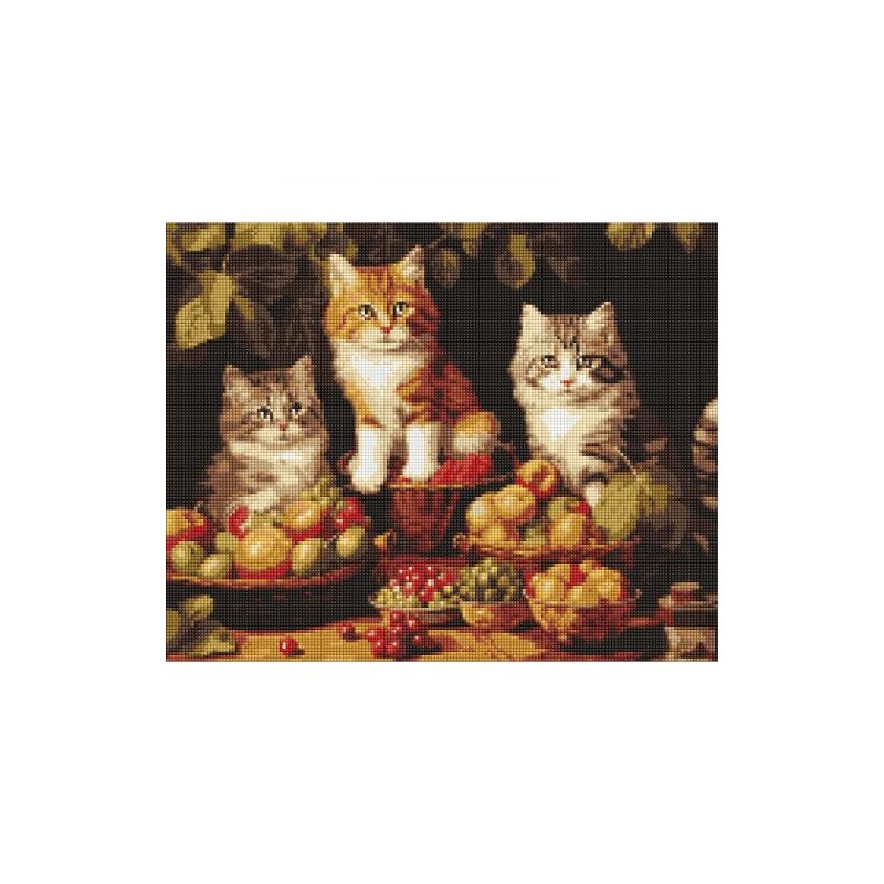 Алмазна мозаїка «Котики і фрукти» 40х50 см